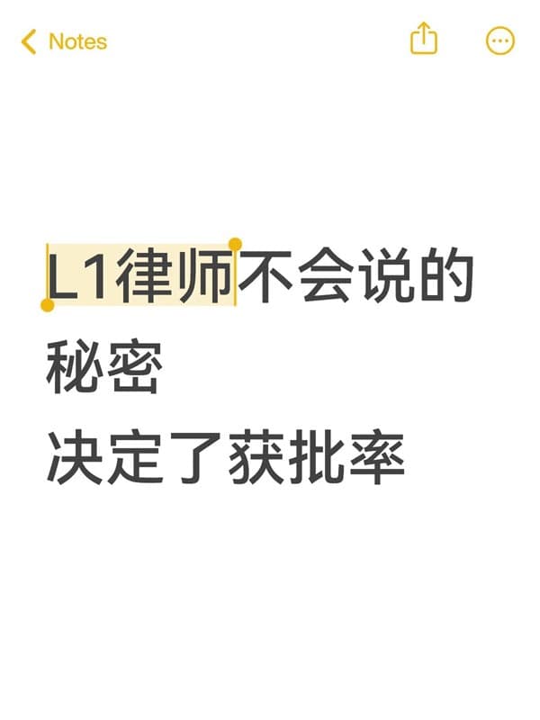 7天遇到3个L1签证RFE，都是因为它