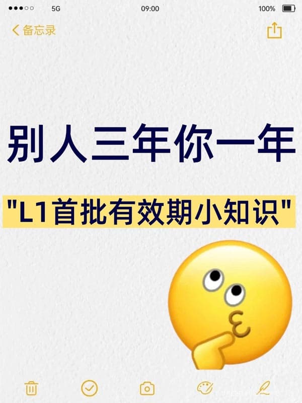 别人三年你用L1签证只需要一年！还在问为什么？
