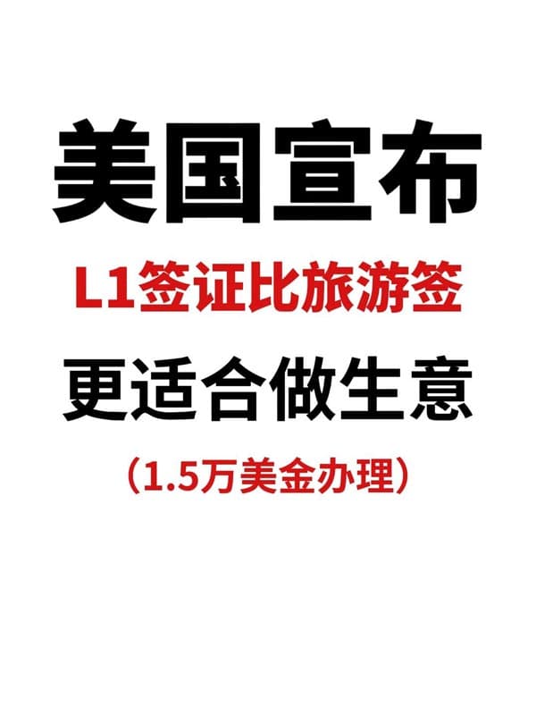 用旅游签频繁进出做生意，太不方便了，不如用L1签证
