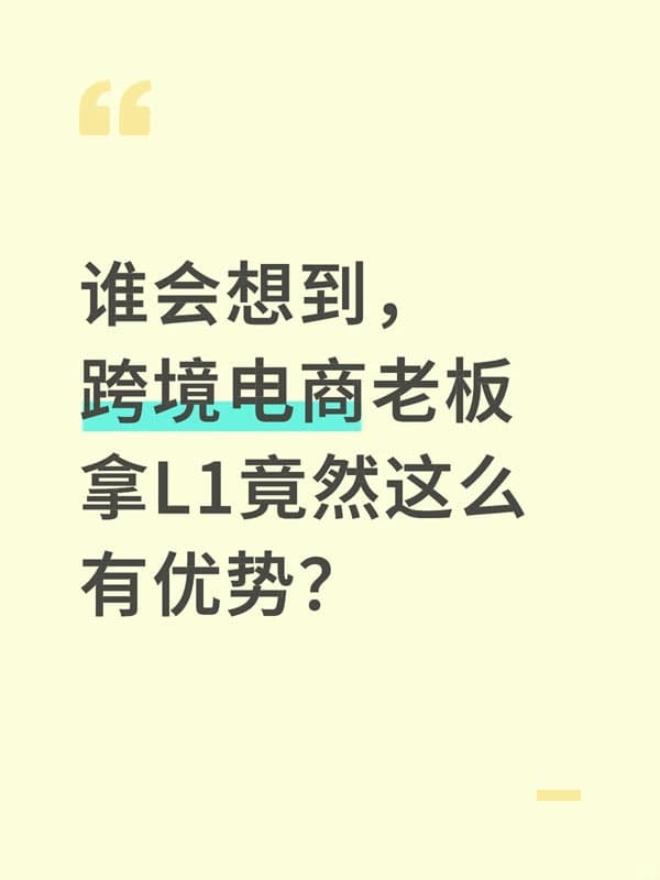 跨境电商,L1签证申请的天选之人 跨境电商,L1签证申请的天选之人