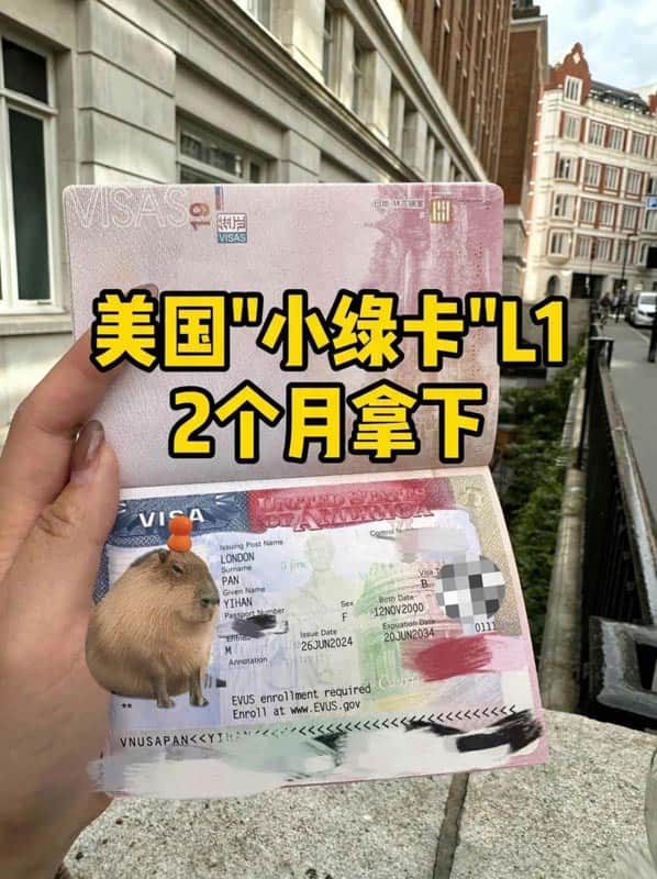 美国“小绿卡”L1，企业主1.5万秒批