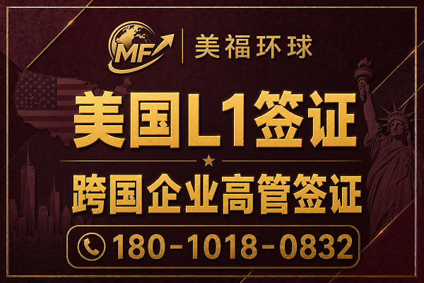 跨国企业高管签证双高管企业申请方案